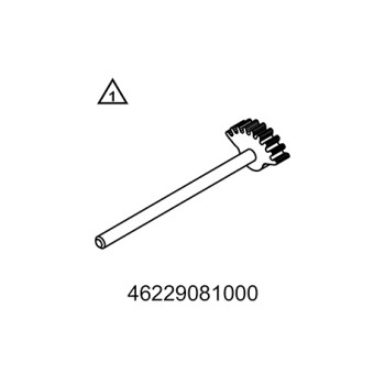 Segmento dentado