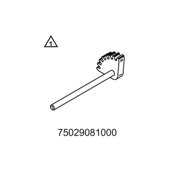 Segmento dentado