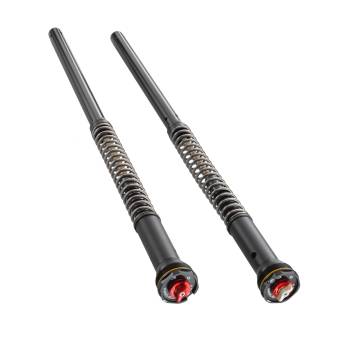 Cartucho suspensión KTM APEX Pro 6500 Cartridge