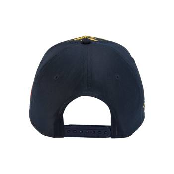 Gorra Red Bull KTM Brad Binder Graphic Curved CAP