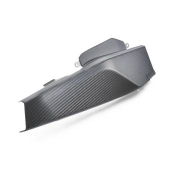 Protector de Basculante KTM Carbono - A67404946088